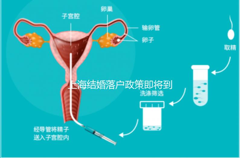 上海結婚落戶政策即將到來，包括2024年黃浦區詳細的戶籍流程