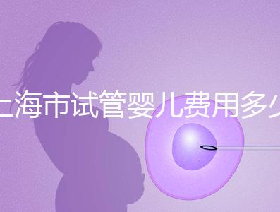 上海市試管嬰兒費用多少錢？2025年最新價格明細及影響因素