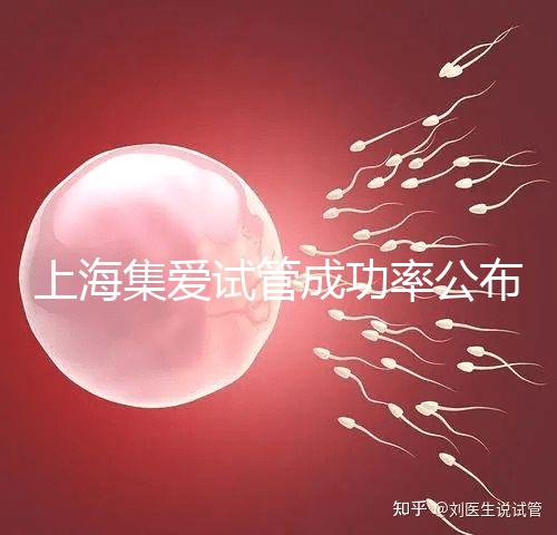 上海集愛試管成功率公布，排名輕松進入全國前二十！