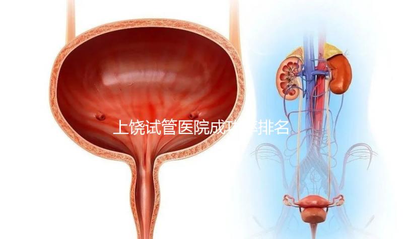 上饒試管醫(yī)院成功率排名整理，想生雙胞胎找top10才靠譜