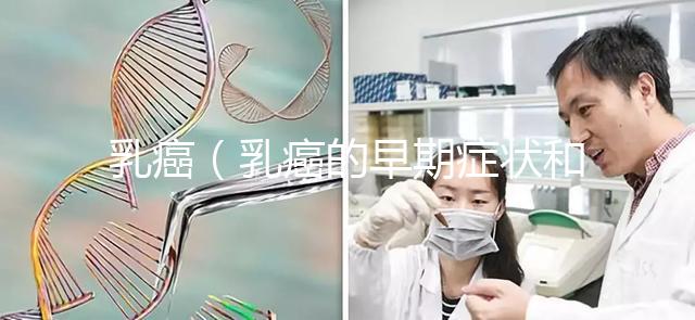 乳癌（乳癌的早期癥狀和前兆是什么）