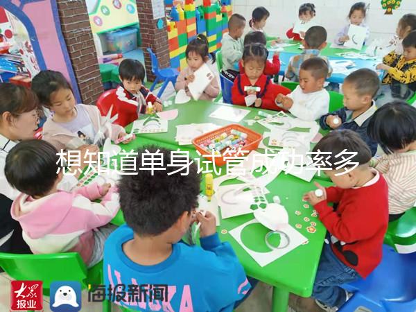 想知道單身試管成功率多少看這，過來人真實案例揭秘真相