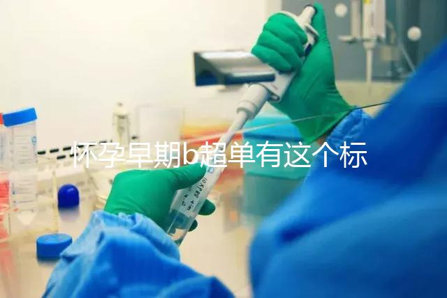 懷孕早期b超單有這個(gè)標(biāo)志一般是女孩，孕囊數(shù)據(jù)暗藏玄機(jī)