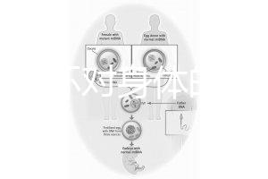 揭秘上環(huán)對(duì)身體的5大壞處，女人別再無(wú)知了