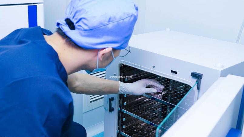 拉薩供卵機(jī)構(gòu)不少,做一次三代試管生男孩費(fèi)用沒(méi)你想的高