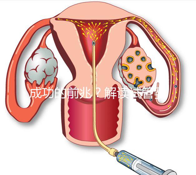 成功的前兆？解讀試管嬰兒移植后為什么容易出汗