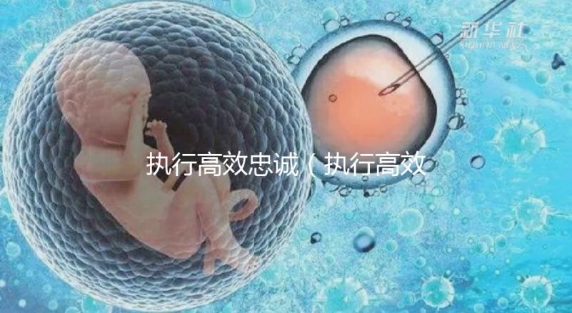 執(zhí)行高效忠誠(chéng)(執(zhí)行高效忠誠(chéng)的成語)