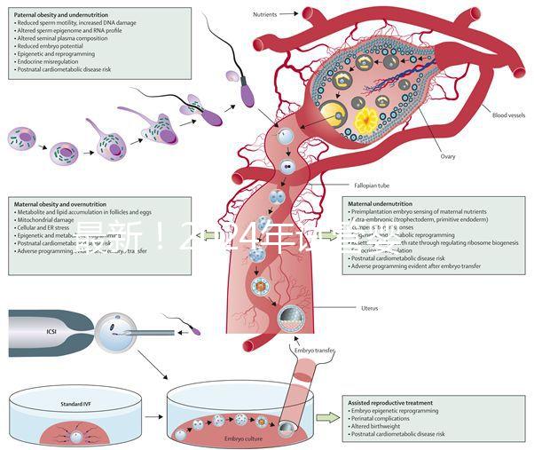 最新!2024年試管嬰兒醫院排行榜來了!(附名單)