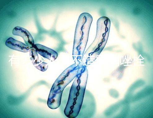 有多少人戳不造甲硝唑栓，對神經損傷請慎用