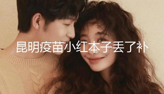 昆明疫苗小紅本子丟了補辦流程、資料來了，五華區人別錯過