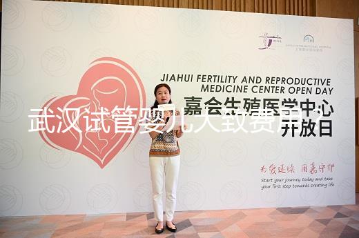 武漢試管嬰兒大致費用？