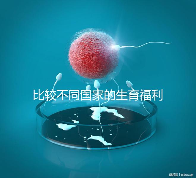 比較不同國家的生育福利｜生孩子還能拿到錢嗎？