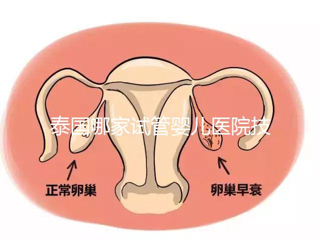 泰國哪家試管嬰兒醫院技術好?這些醫院排名前三