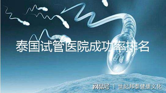泰國試管醫院成功率排名公布，這些詳細介紹，為您提供選擇參考！