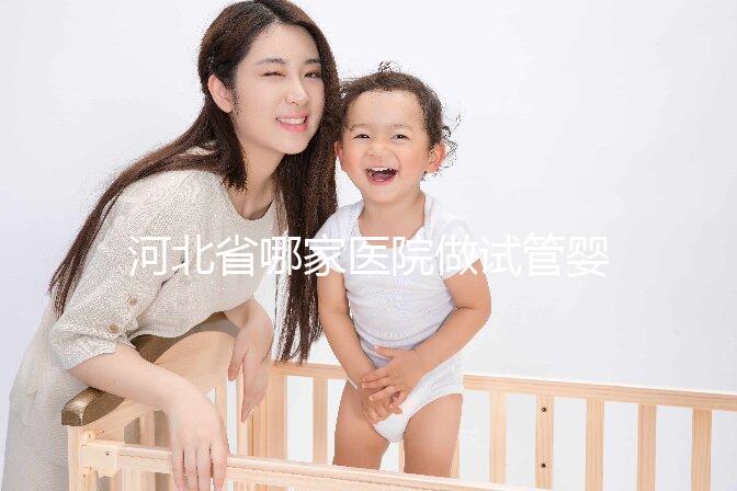 河北省哪家醫院做試管嬰兒好?這5家醫院成功上榜!