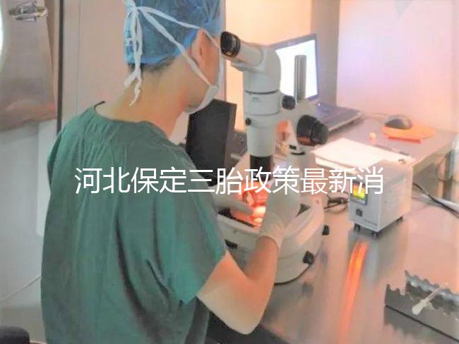 河北保定三胎政策最新消息2024，不造補(bǔ)貼怎么申請看過來