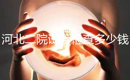 河北二院試管檢查多少錢公布,項(xiàng)目不同價(jià)格自然有所差異