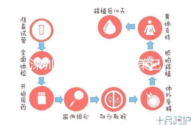 深圳最新獨生子女政策已出爐，羅湖、南山區補貼金均有提高