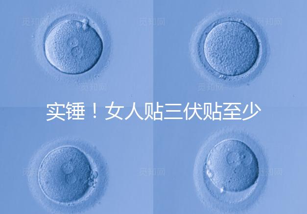 實錘！女人貼三伏貼至少有這6點好處，提高免疫力是其一