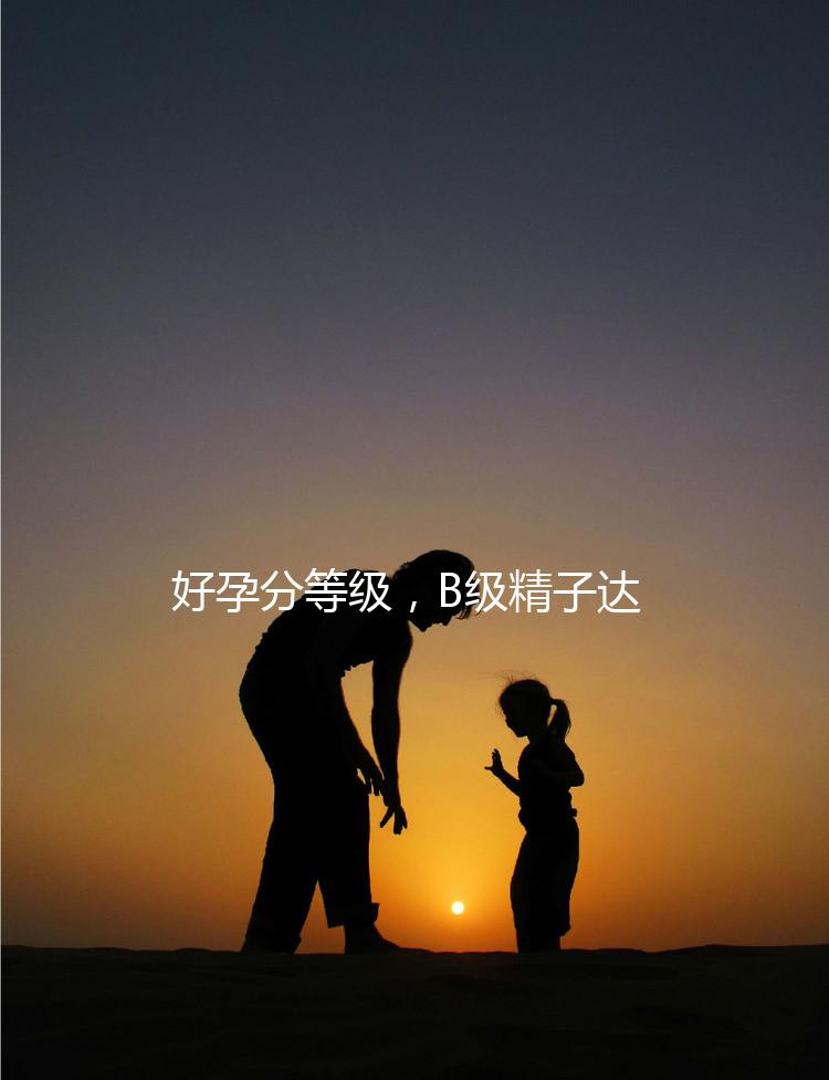 好孕分等級，B級精子達(dá)這個正常標(biāo)準(zhǔn)“孕路”無阻