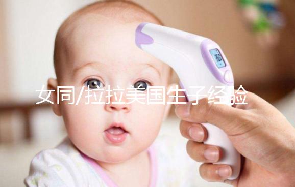 女同/拉拉美國生子經驗：總結試管嬰兒手術的一般性流程