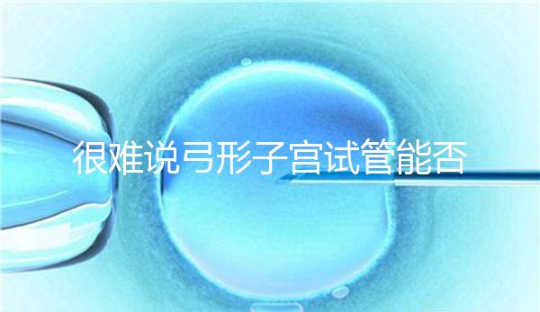 很難說弓形子宮試管能否成功足月生產，或者很難注意