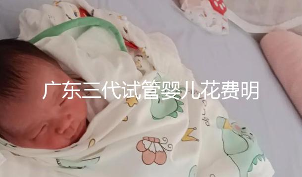 廣東三代試管嬰兒花費明細:8-15萬元,2025價格構(gòu)成公布