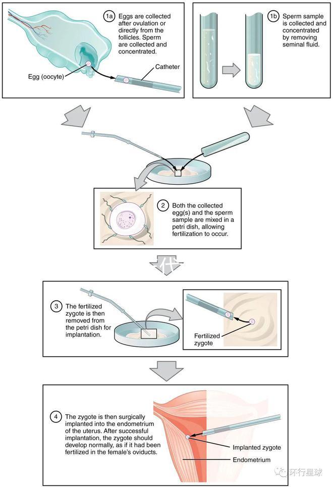 廣東10家三代試管醫(yī)院的熱度排名!