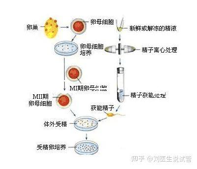 選對成功一半!來看看海南哪家醫(yī)院能做三代試管嬰兒