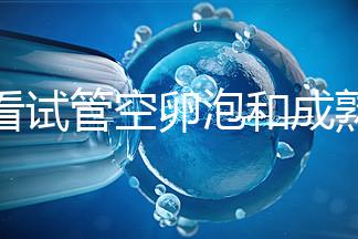 速看試管空卵泡和成熟卵泡能否區分開，這兩大技巧學起來