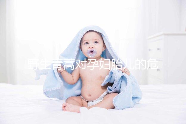 野生青蒿對孕婦胎兒的危害多，能否泡腳、洗澡看這里