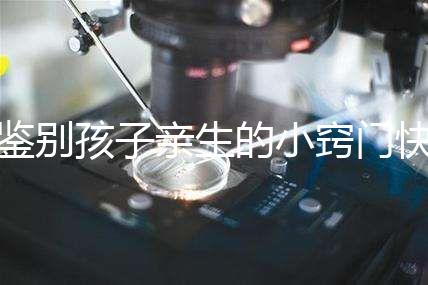 鑒別孩子親生的小竅門快收藏，取牙刷樣本準不準分情況