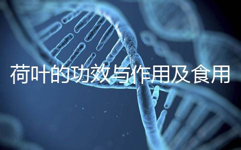 荷葉的功效與作用及食用方法（荷葉蒂的功效與作用及食用方法）