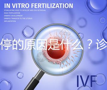 胎停的原因是什么？診斷鑒別80%是精子問題