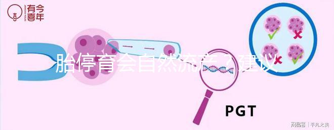 胎停育會自然流產(chǎn)?建議別等!有殘留,只會對母體造成更大危害