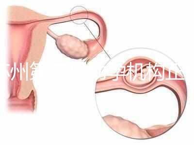 蘇州第三代助孕機(jī)構(gòu)正規(guī)可靠嗎？實(shí)地考察才為真