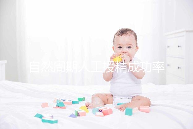 自然周期人工授精成功率低,別擔心!多次移植可增加成功率