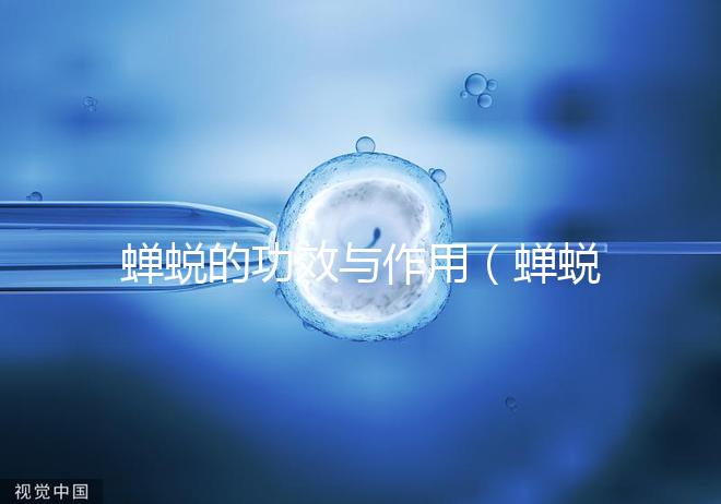 蟬蛻的功效與作用(蟬蛻的壯陽(yáng)功效)