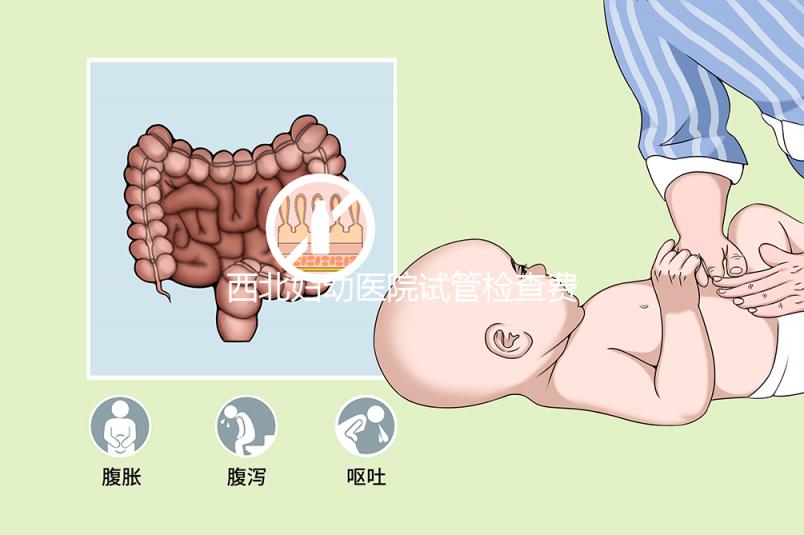 西北婦幼醫院試管檢查費用流出！做完記得來這領報告單