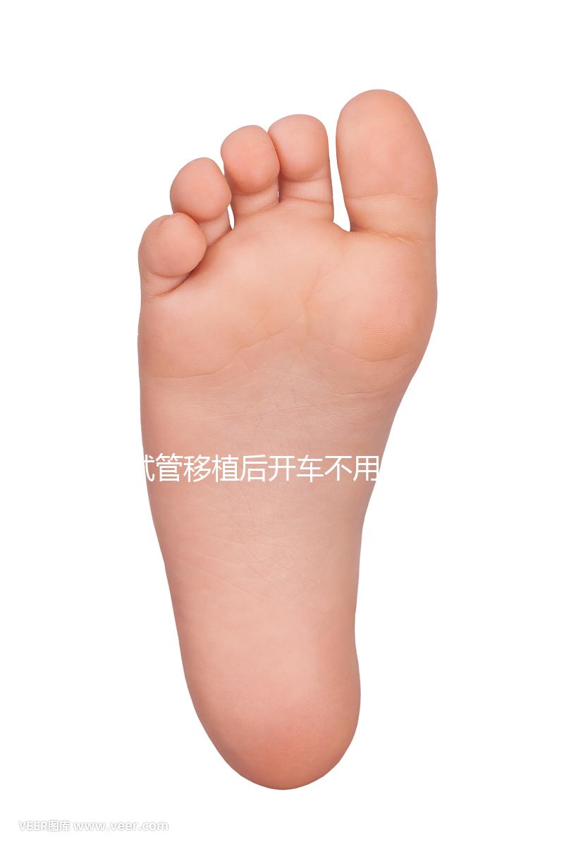 試管移植后開車不用太講究，休息和出行問題解答都在這里