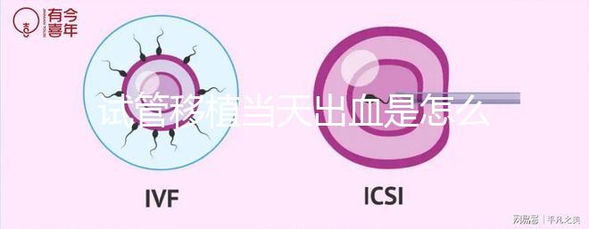 試管移植當天出血是怎么回事？收好你的“玻璃心”別太擔心