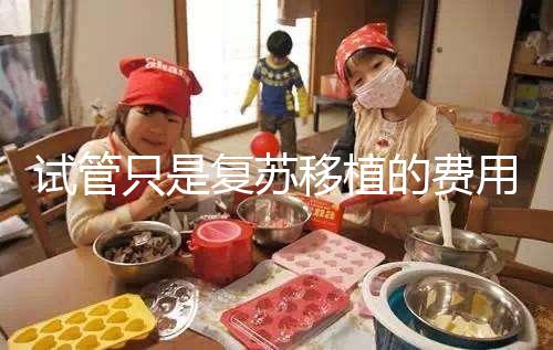 試管只是復蘇移植的費用并不高，看這就知道大概多少錢