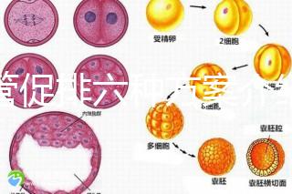 試管促排六種方案介紹,超詳細(xì)!!