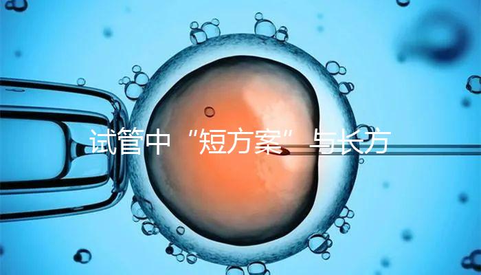 試管中“短方案”與長方案區別分析，時間并非唯一差異
