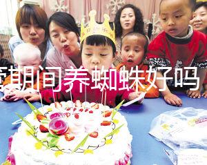 試管期間養(yǎng)蜘蛛好嗎？人們告訴你，這些影響應(yīng)該早知道