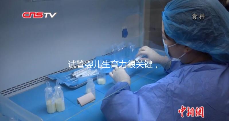 試管嬰兒生育力很關(guān)鍵，4個(gè)方面評(píng)估好不好？