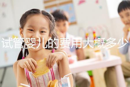 試管嬰兒的費用大概多少錢？