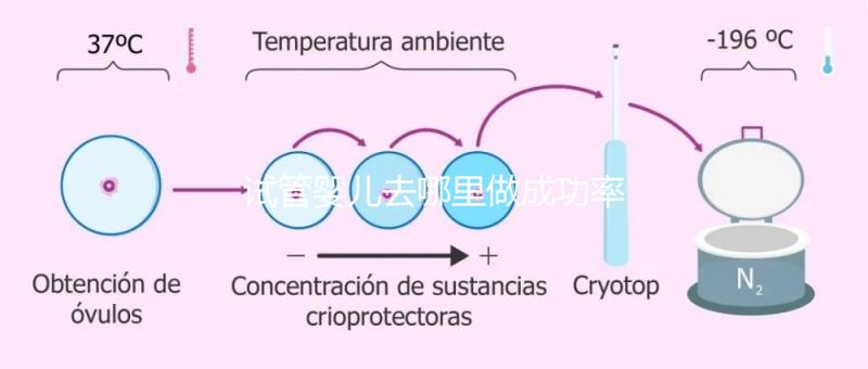 試管嬰兒去哪里做成功率高？建議：正規試管醫院醫療機構