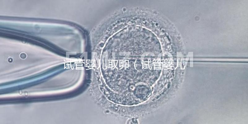 試管嬰兒取卵（試管嬰兒取卵時(shí)疼嗎）