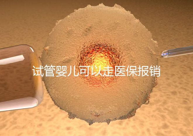 試管嬰兒可以走醫(yī)保報(bào)銷嗎?2025年最新費(fèi)用標(biāo)準(zhǔn)及政策解讀